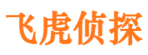 波密市出轨取证